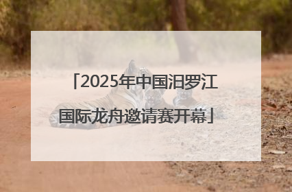 2025年中国汨罗江国际龙舟邀请赛开幕